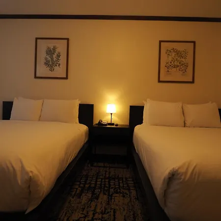 Night Hotel Broadway-3